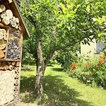Am Hoernle * Königsfeld im Schwarzwald